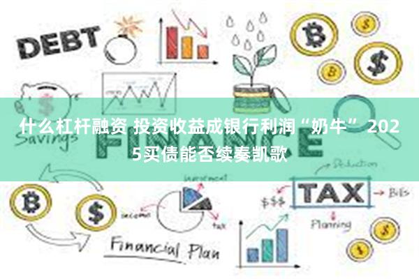 什么杠杆融资 投资收益成银行利润“奶牛” 2025买债能否续奏凯歌