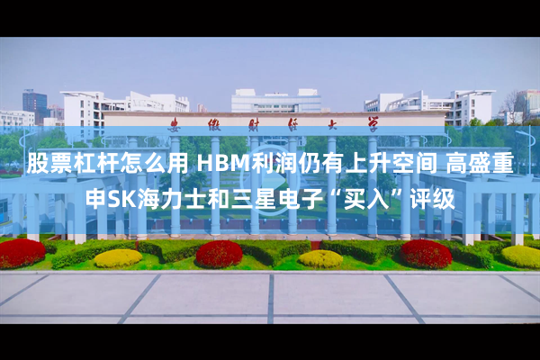 股票杠杆怎么用 HBM利润仍有上升空间 高盛重申SK海力士和三星电子“买入”评级
