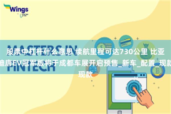 股票中杠杆什么意思 续航里程可达730公里 比亚迪唐EV冠军版将于成都车展开启预售_新车_配置_现款