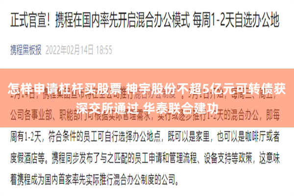 怎样申请杠杆买股票 神宇股份不超5亿元可转债获深交所通过 华泰联合建功