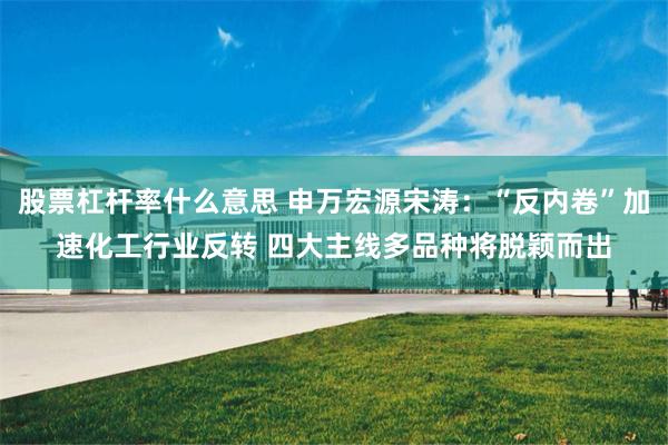 股票杠杆率什么意思 申万宏源宋涛:“反内卷”加速化工行业反转 四大主线多品种将脱颖而出