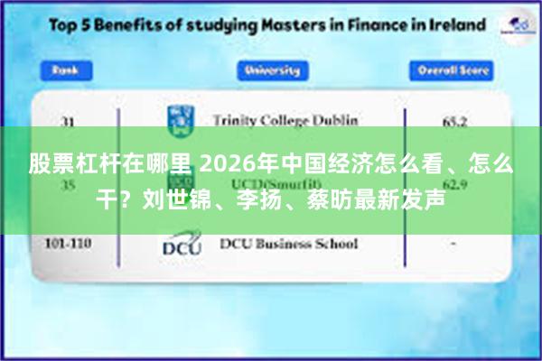 股票杠杆在哪里 2026年中国经济怎么看、怎么干?刘世锦、李扬、蔡昉最新发声